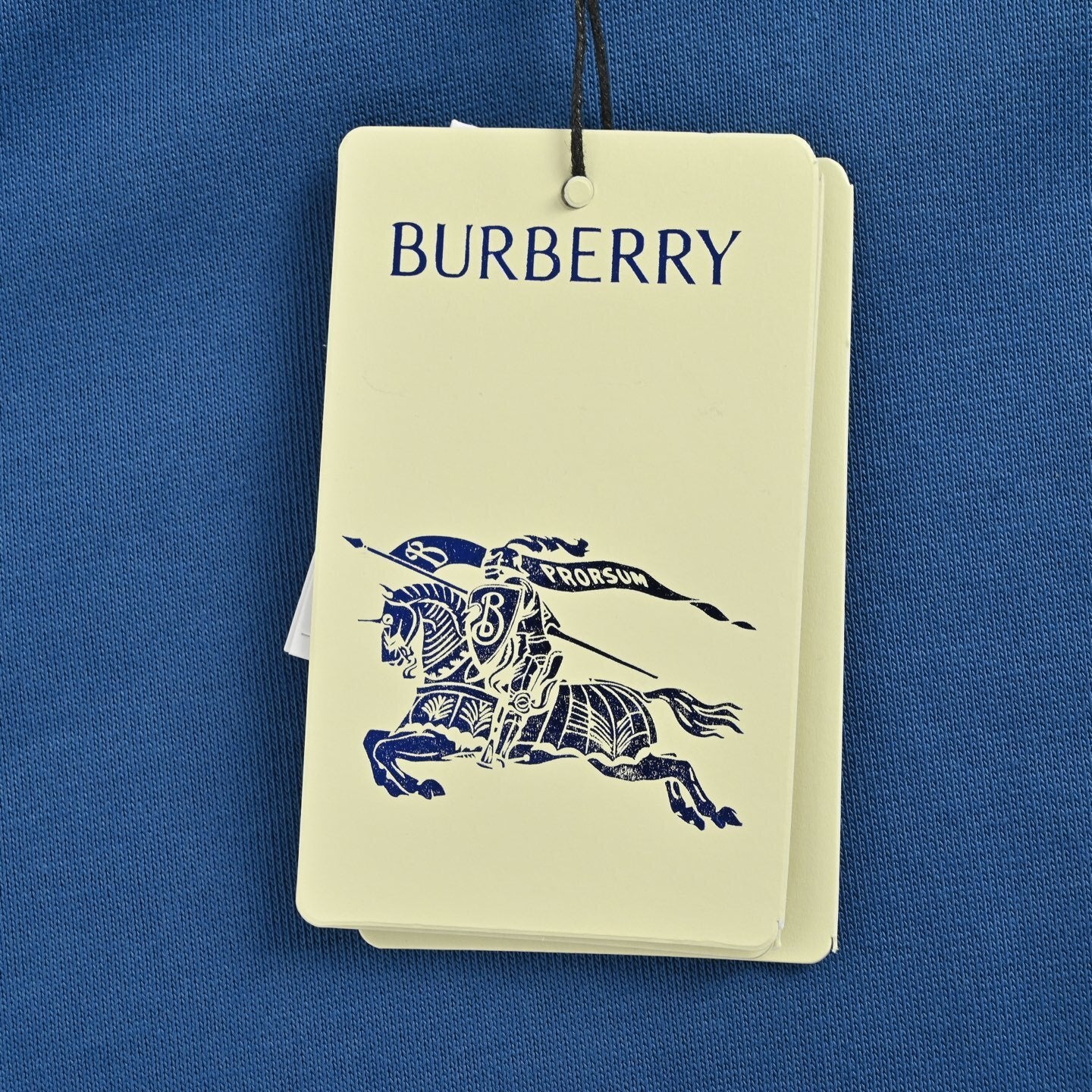 Burberry Felpa