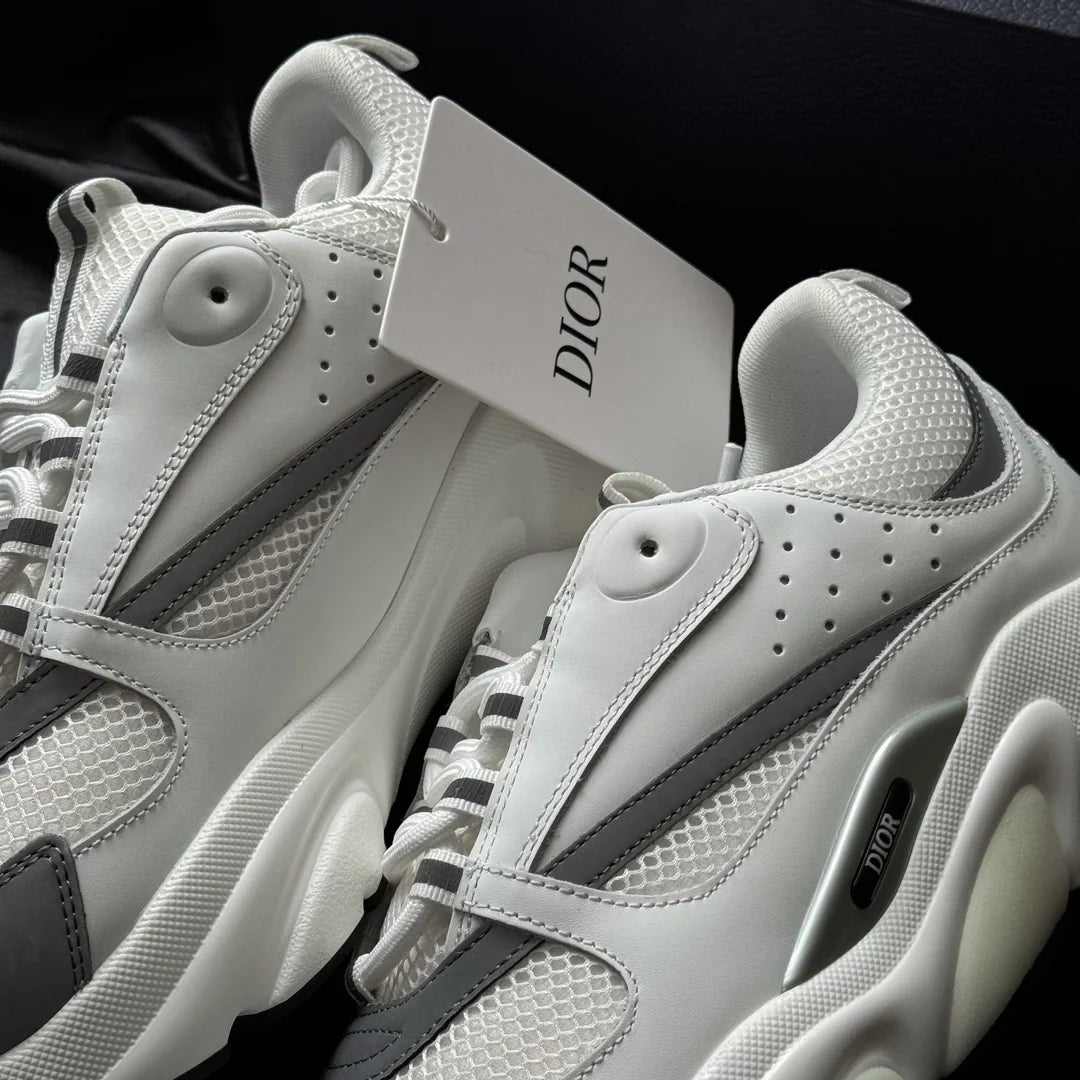 Dior B22