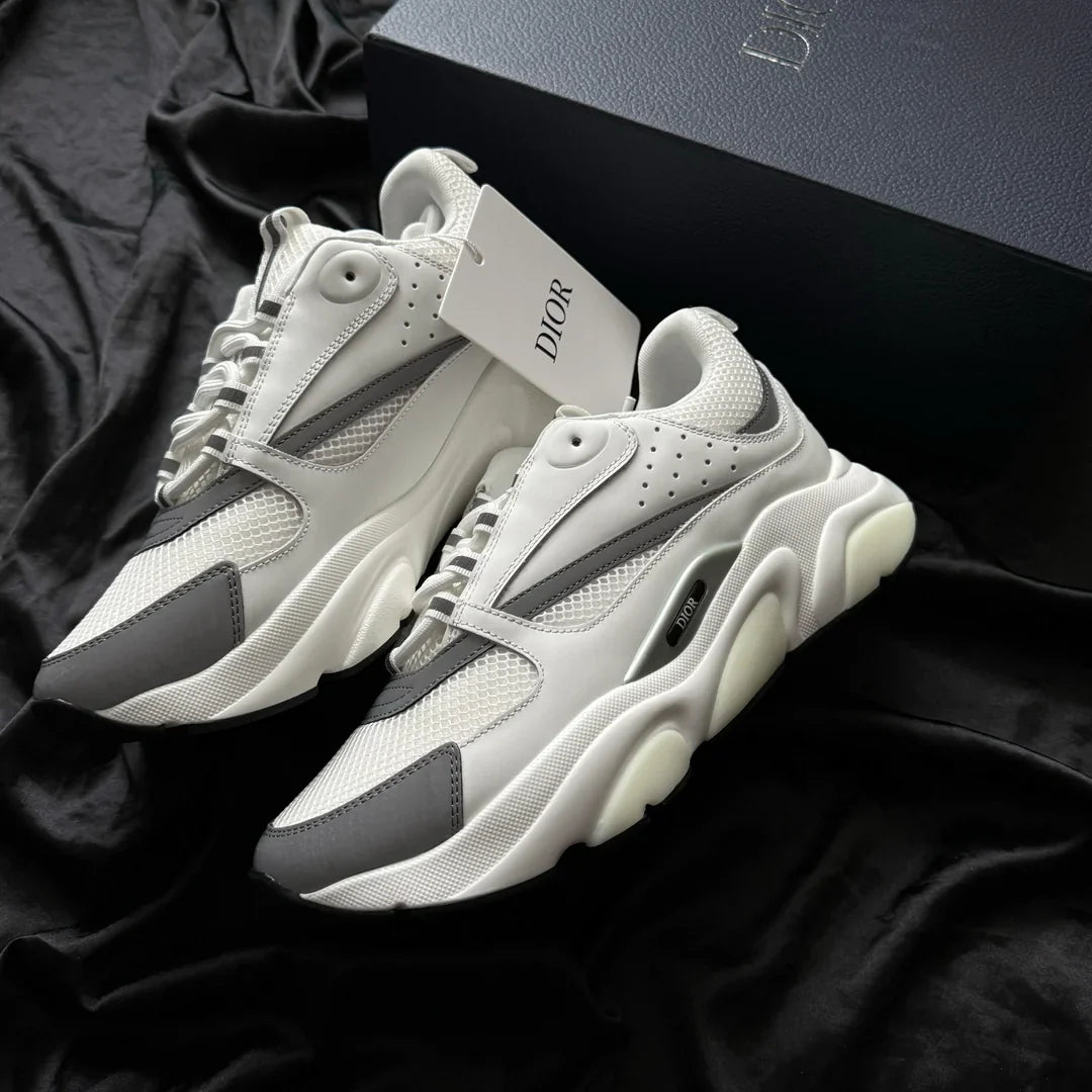 Dior B22
