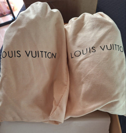 Louis Vuitton Skate