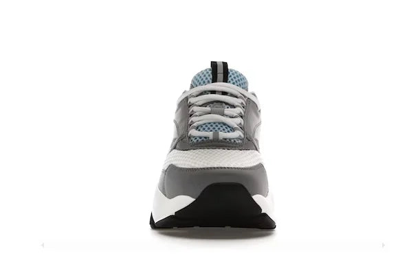 Dior B22 White Blue
