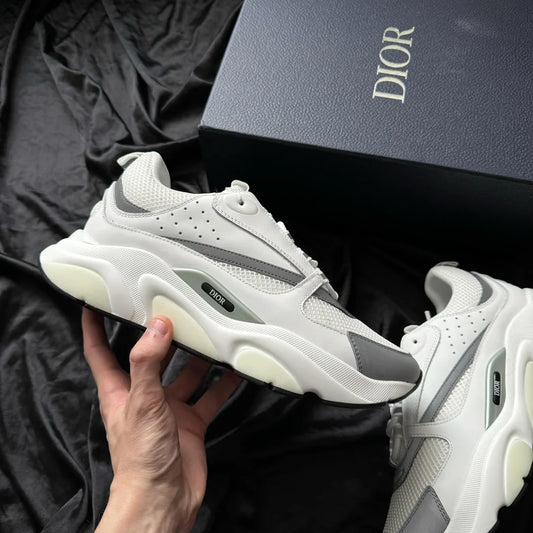 Dior B22