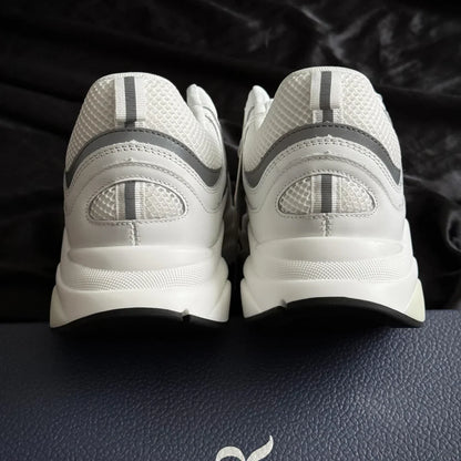 Dior B22